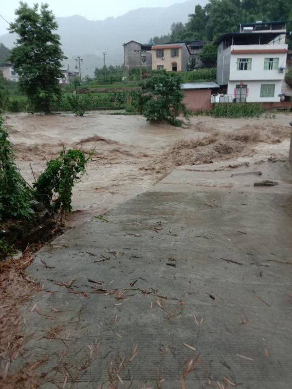 月11日起,重庆市中东部大部地区出现阵雨或雷雨,部分地区大雨到大暴雨