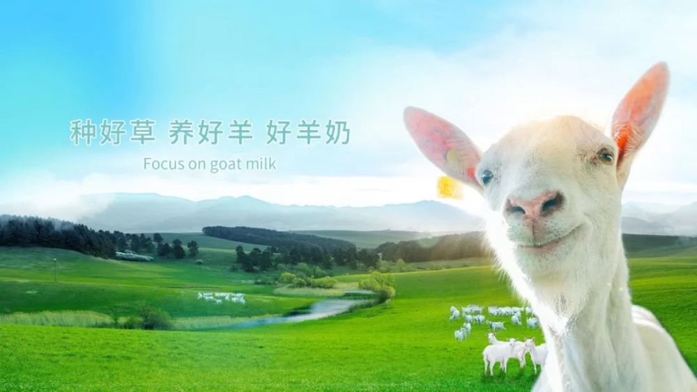 红星美羚冲刺羊乳第一股销量持续下降昔日大客户也已注销