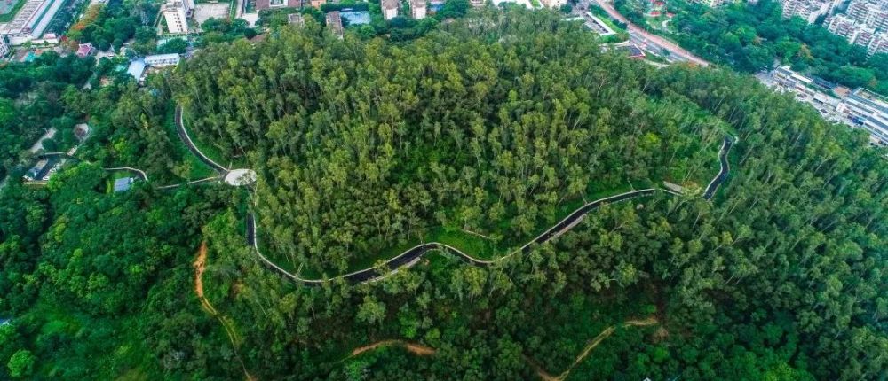 梅林公园新建成的听涛区"公园里的深圳"添新景近日为主要功能的市政