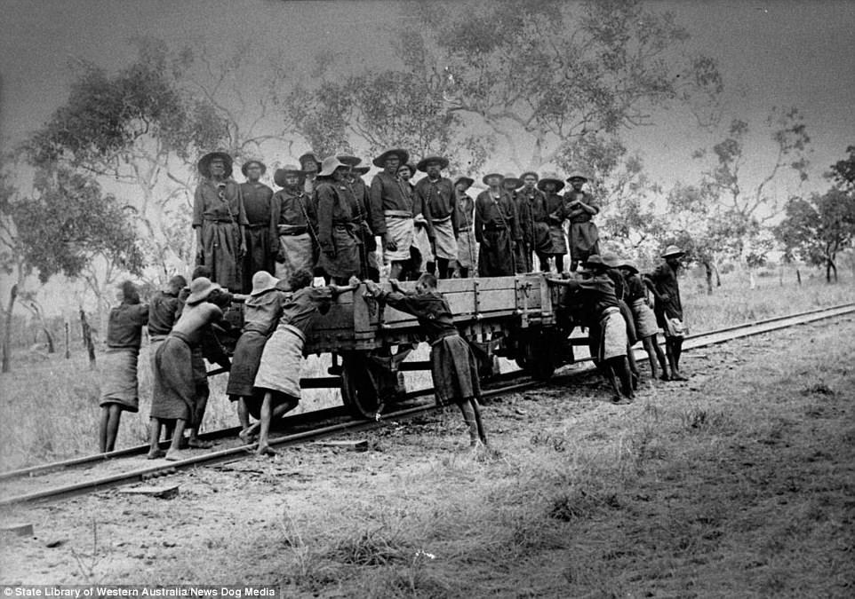 澳大利亚残酷历史欧洲殖民者用铁链锁着澳大利亚土著强迫他们无偿劳动