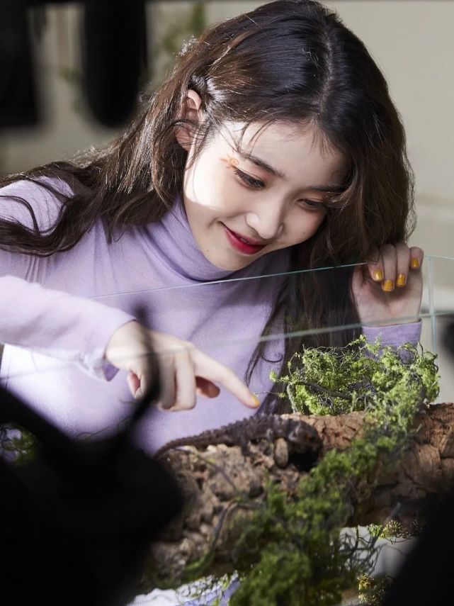 iu新歌eightmv里装满了超甜的男友视角