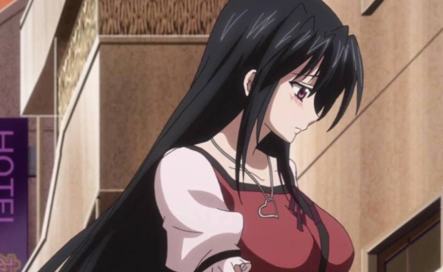 噬血狂袭|恶魔高校|魔装学园|动漫