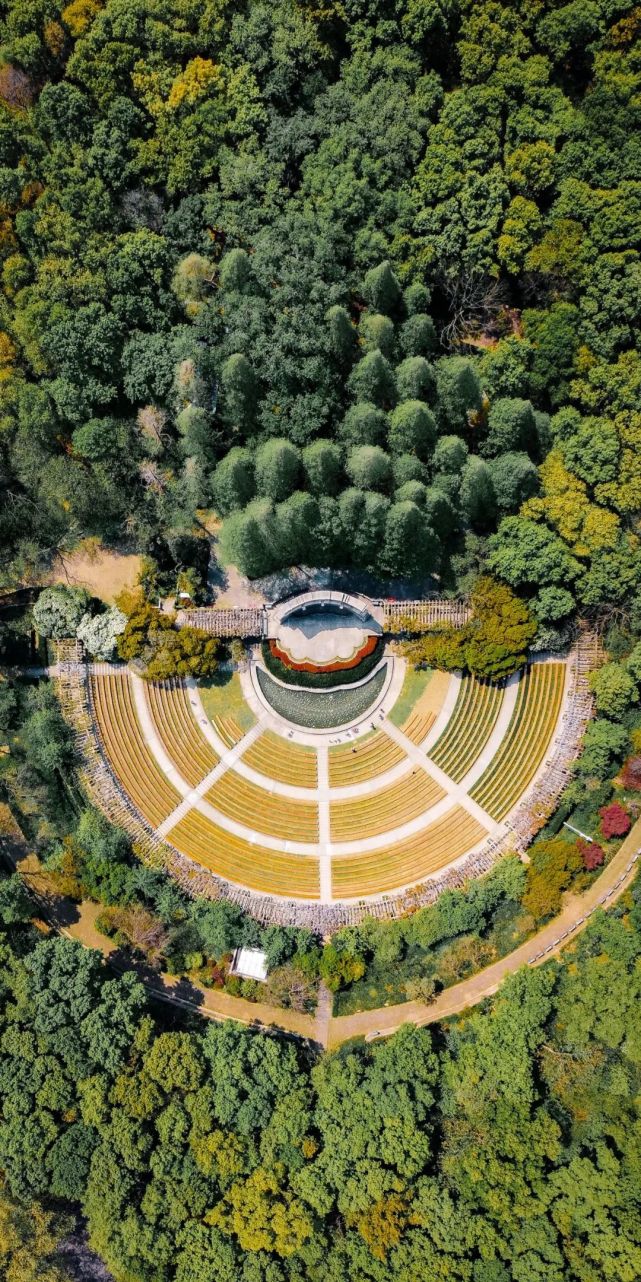 南京紫金山公园图片