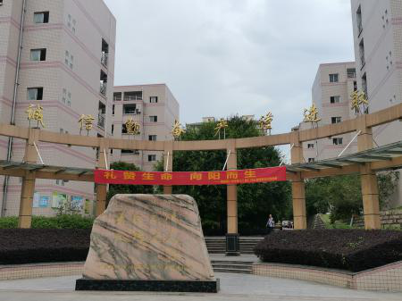 礼赞生命向阳而生莆田第二中学第十二届525心理健康周礼记