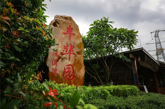 7月初这个农业公园将举行果蔬采摘节|沈汉华|西红柿|丰华园|木瓜|葡萄