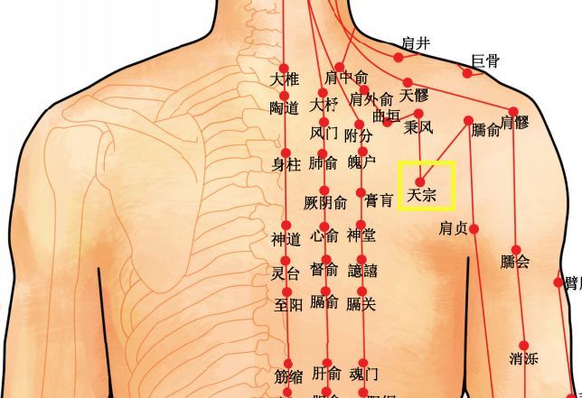 天宗穴:一个穴位打败了乳腺增生!