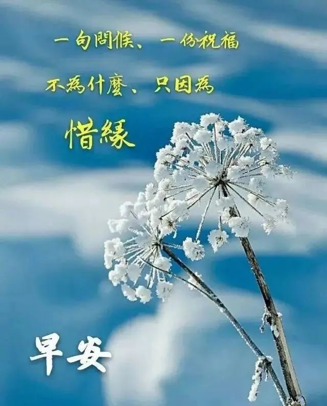 6月早上好阳光祝福语文字图片,最美最暖心的早安问候祝福短信及表情