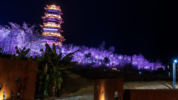 简阳鳌山公园夜景图片