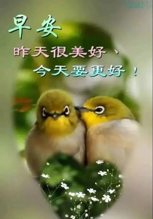 2020最新版早安祝福语短信大全 早上好问候动态表情图片带字