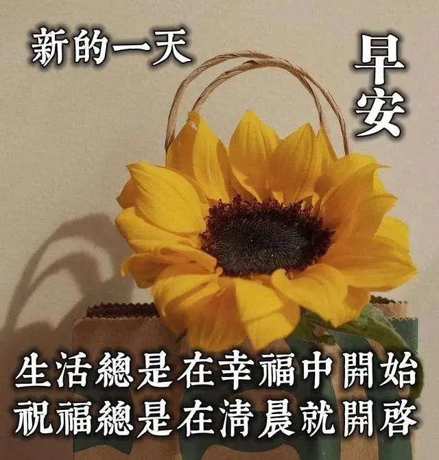 最新早上好溫馨祝福句子清晨問候大家早上好的漂亮圖片