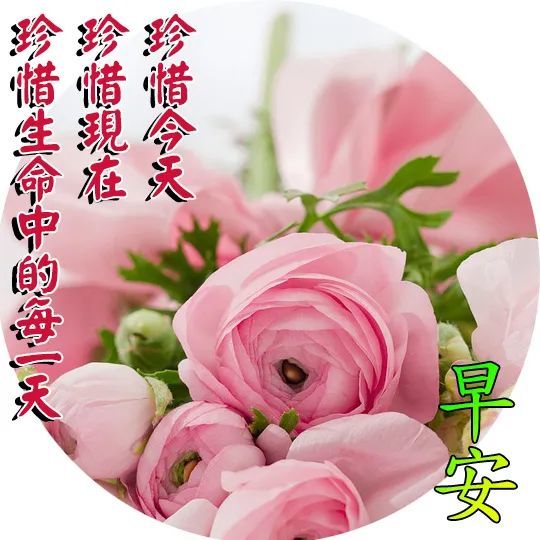 最新早上好温馨祝福句子清晨问候大家早上好的漂亮图片