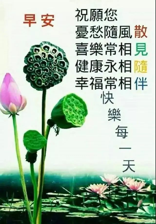 朋友圈早上好祝福表情问候图片带字 6月最新款早安祝福问候图片