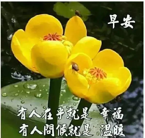 6月13日最新清晨祝福早上好问候语朋友圈大家早上好阳光正能量语录 腾讯网