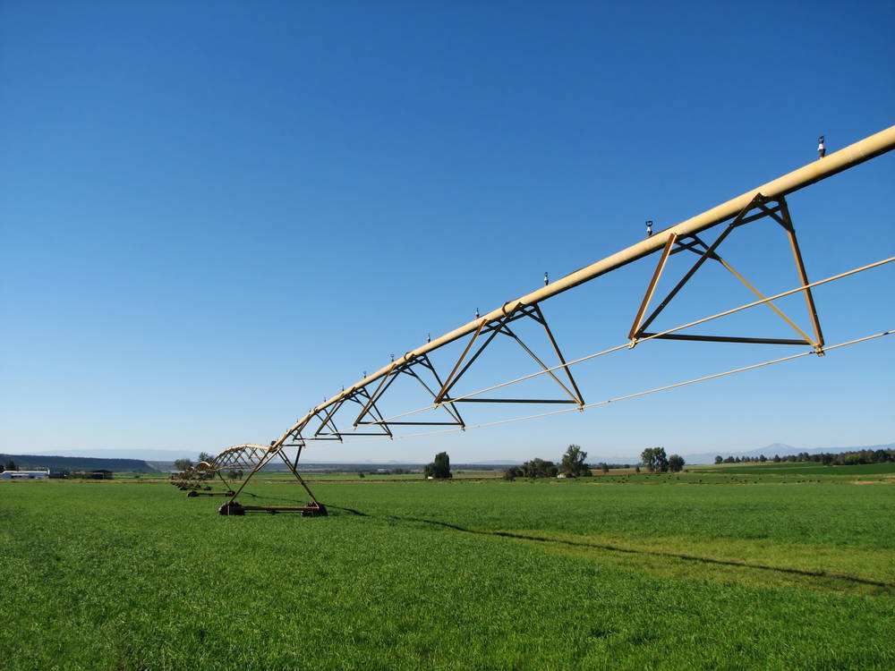 但是中国农业种植实际情况与美国的农场有很大差别,这种千亩地的农场
