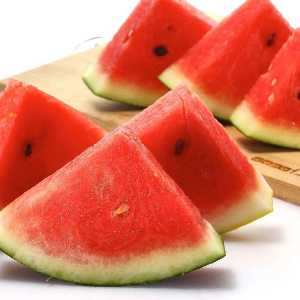 皮薄脆甜贵港城郊这600多亩西瓜成熟啦