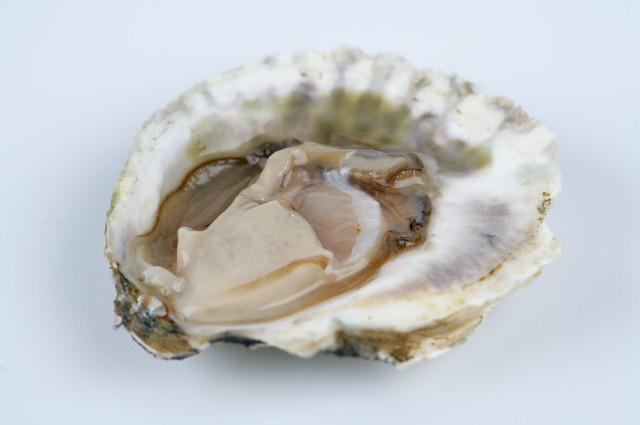 明明长得一模一样 为何一个叫生蚝 一个叫牡蛎 原来区别在这儿 腾讯新闻