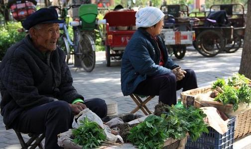 大家買菜是去超市呢,還是去菜市場或者路邊菜攤呢?