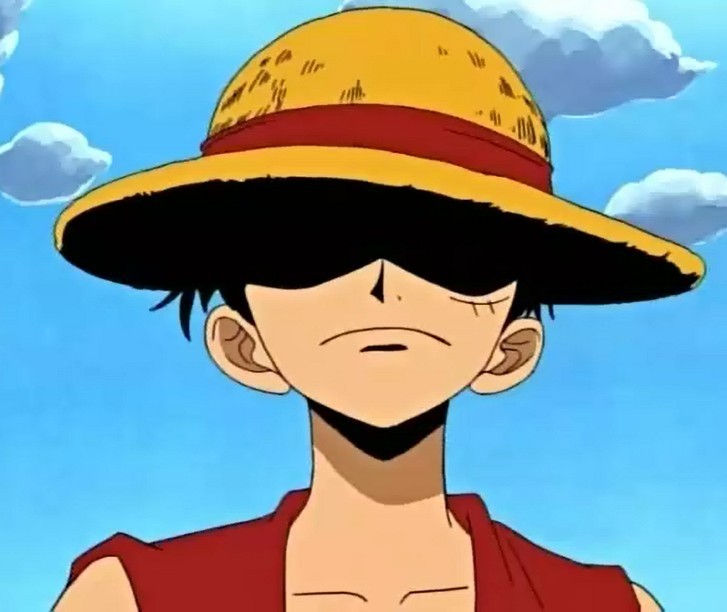 说起海贼王,对于海贼王的粉丝们来说,想必大家第一反应,想到的可能就