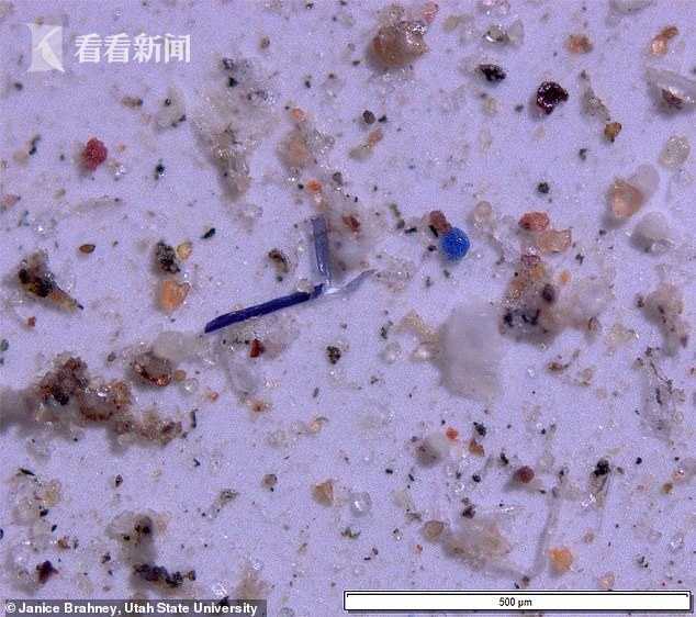 微塑料已进入大气层随雨而下美国11个地区发现1000多吨塑料微粒
