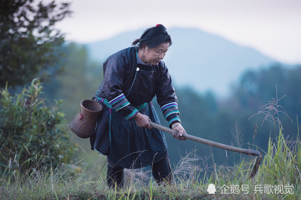 走进黔东南从江占里探访换花草的神秘药师