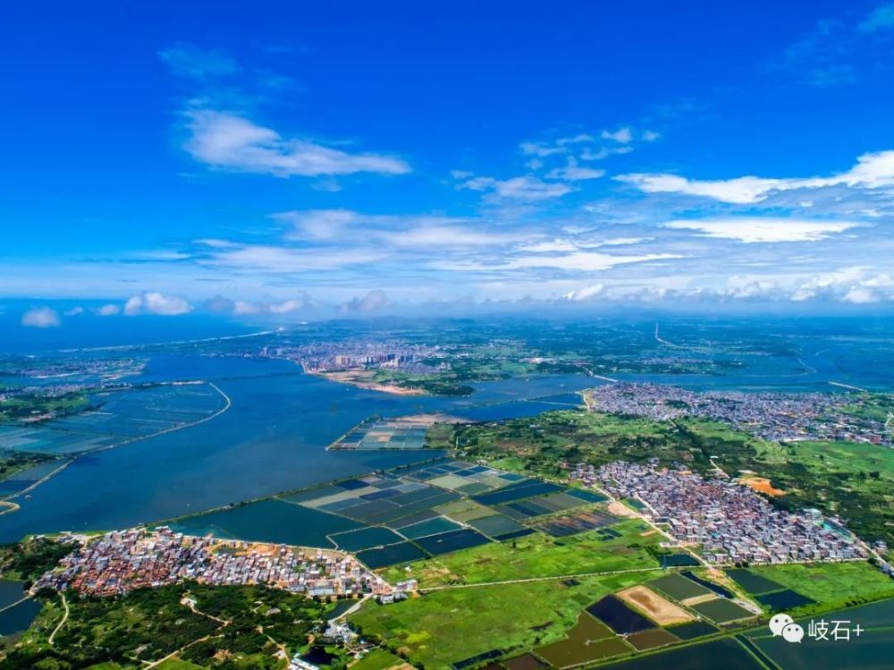 岐石镇虾池承包岐石览表前汛华清收入情况