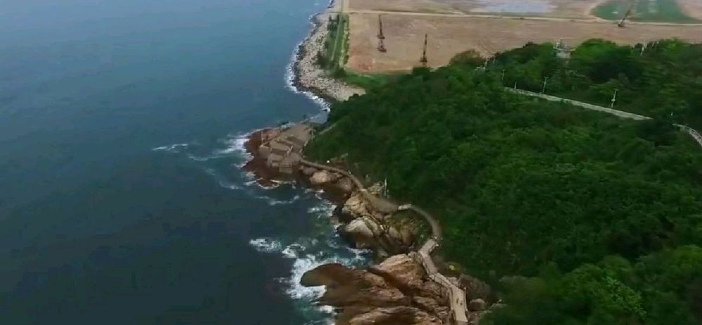 深圳沙滩排名2020_2020年深圳小学排名一览