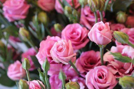 变化发展中的鲜花产业 国内鲜花产业发展现状 腾讯网