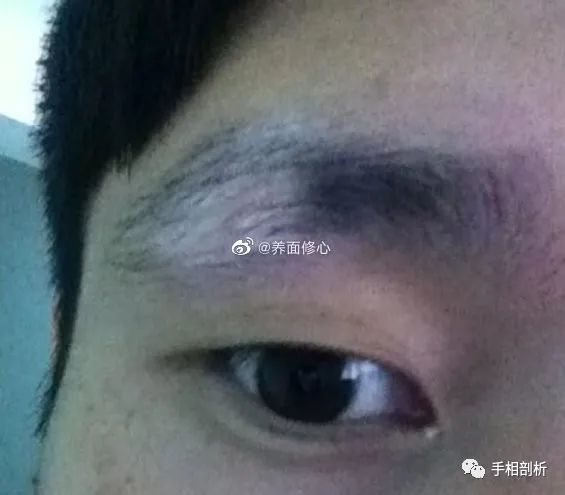 面相剖析 眉毛中有白毛好不好 面相 眉毛 气运 运势