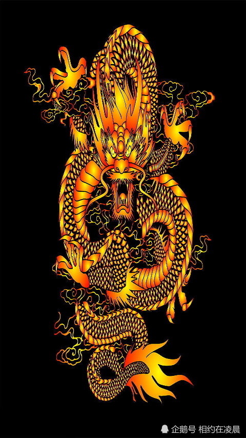 龙行天下全集