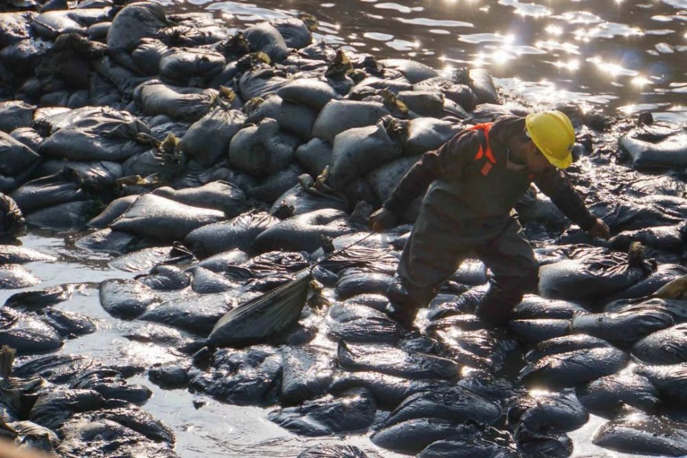 生态环保主题摄影大赛三等奖作品展示