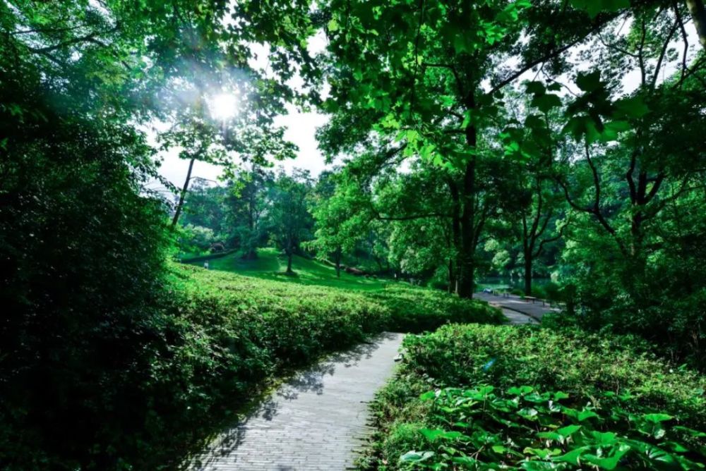 【图集】邂逅阿哈湖 打卡夏日绿色风情_腾讯新闻