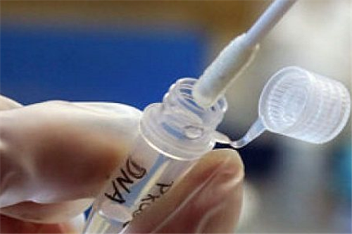 德国警察不愿提起的耻辱 追踪16年的女杀手 最后竟是1根棉花棒 警察 德国 社会