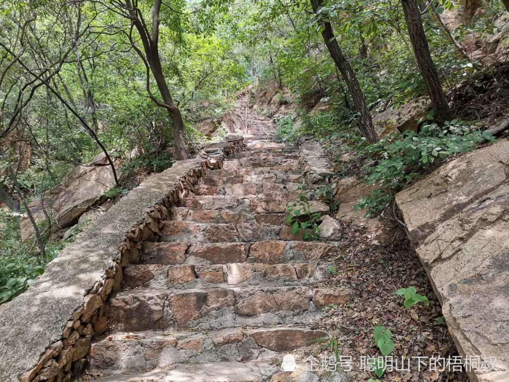 雙龍山森林公園越過土路之後,後面的路都在這種石階路了.