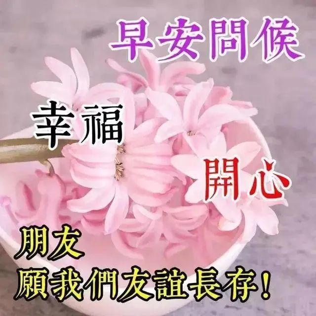 清晨温馨的早上好祝福语录 朋友圈最新早安文字问候表情 朋友圈