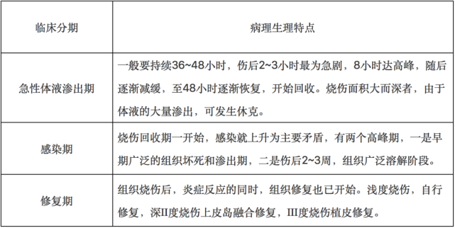 燒傷的臨床分期燒傷深度的判斷燒傷面積計算:三三三(面,發,頸部各為3%