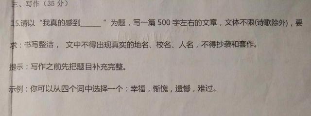 几家欢乐几家愁 2篇小学生作文一高分一低分 一印刷体一丑书体 作文 小学生 语文 月考 六年级 立意