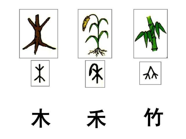 符号和象形文字的差别 揭示出近现代中国科技落后的一个重要原因 印刷术 象形文字 汉字