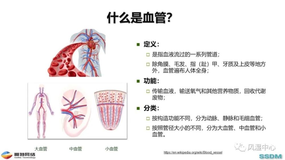 手牵手健康 新冠病毒与血管炎 腾讯新闻