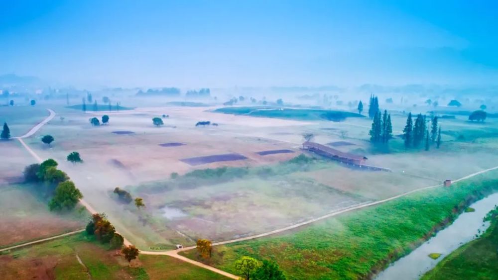 良渚文化|去年今日，那个激动人心的时刻你还记得吗？