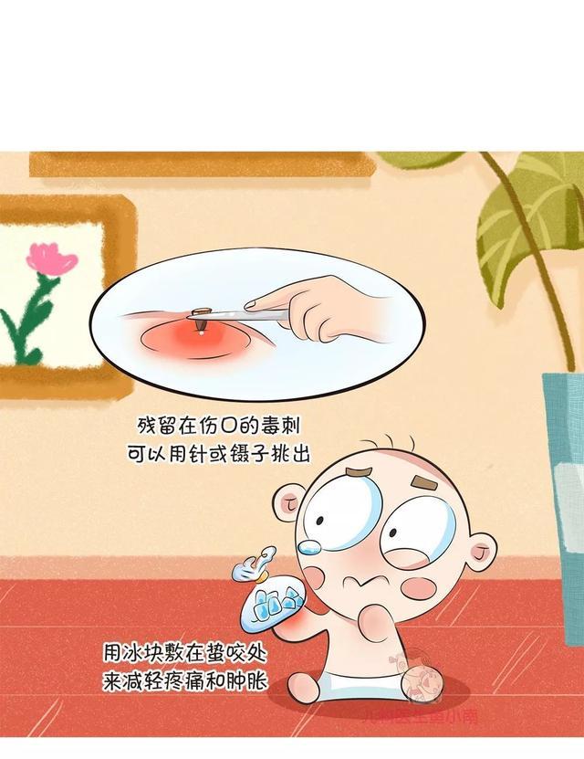 蜜蜂蜇人 卡通图片