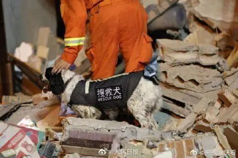 温岭爆炸19人死亡-测评信息