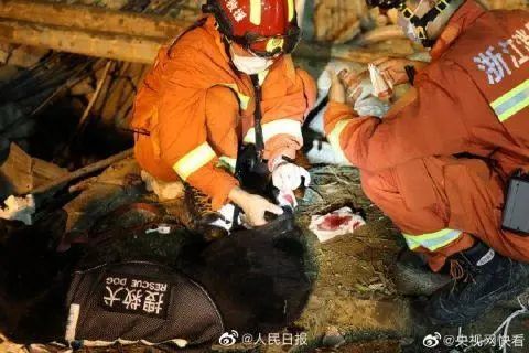 温岭爆炸19人死亡-测评信息