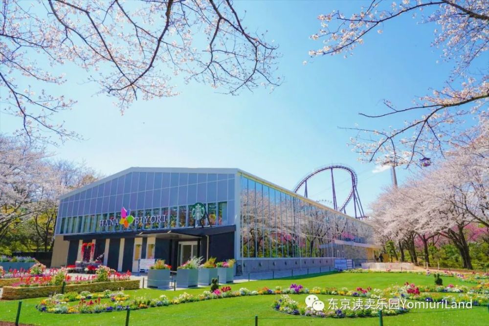 日本首家花园星巴克 读卖乐园hana Biyori 腾讯新闻