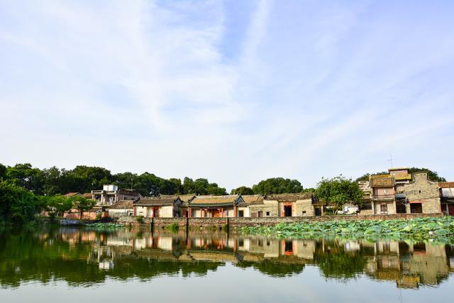 东莞市这个古村落,实在美得不行,竟还藏有着近八百年古树