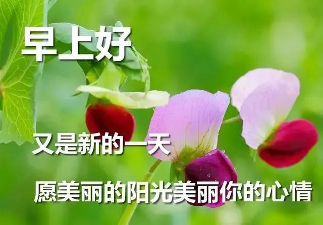 清晨特漂亮早上好图片大全21早上好问候语及祝福语表情图片 正能量励志语录大全