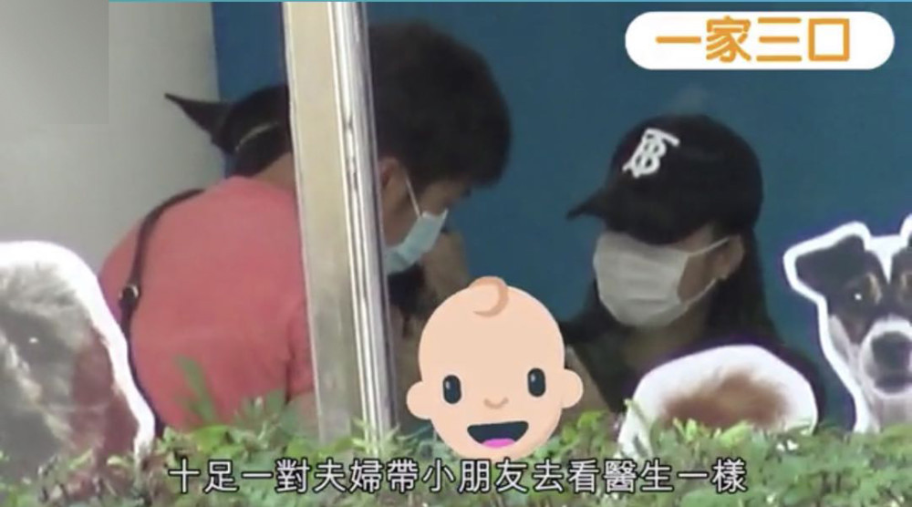 郑秀文|郑秀文许志安“安心事件”后再合体，电梯同框夫唱妇随超低调