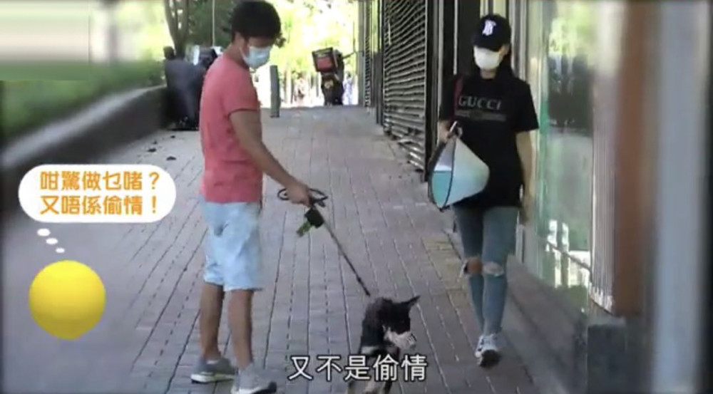 郑秀文|郑秀文许志安“安心事件”后再合体，电梯同框夫唱妇随超低调