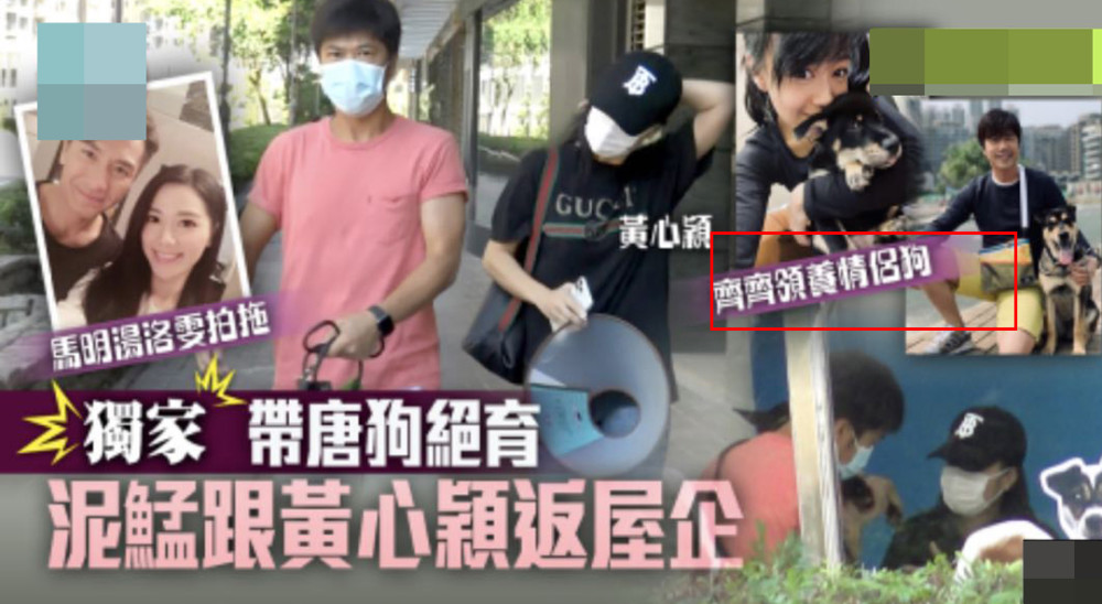 郑秀文|郑秀文许志安“安心事件”后再合体，电梯同框夫唱妇随超低调