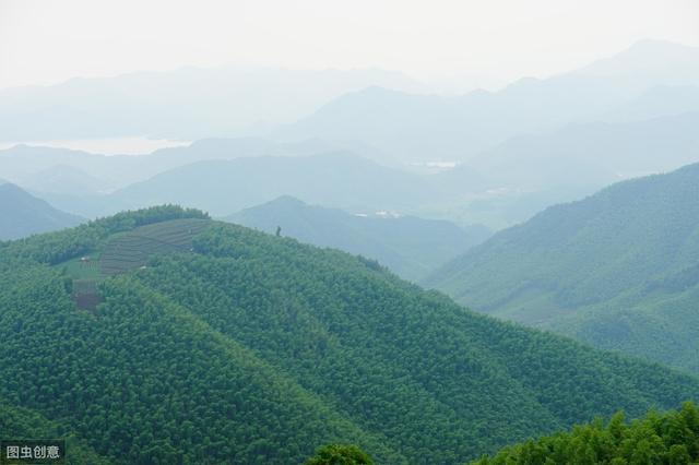 江浙沪周边网红打卡地，除了莫干山外这个季节还可以去这里采摘