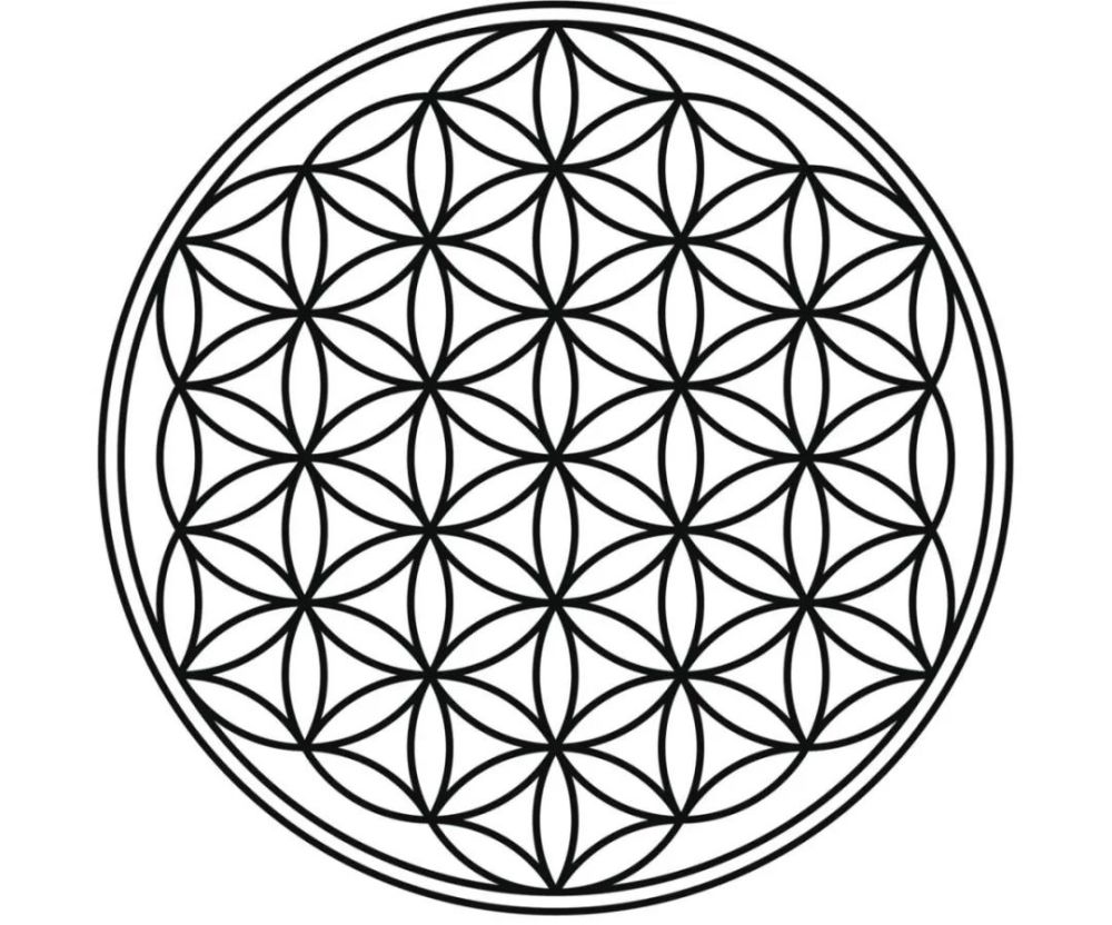 伊麗莎白相信生命之花(the flower of life),那是一種幾何圖形,由一個